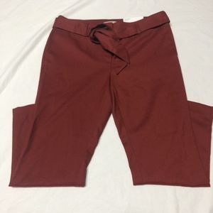 NWT Loft Straight-Ley pant, sz 8P